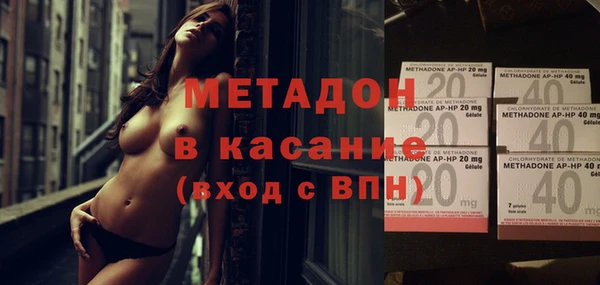 прущие грибы Аркадак