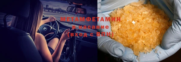 прущие грибы Аркадак