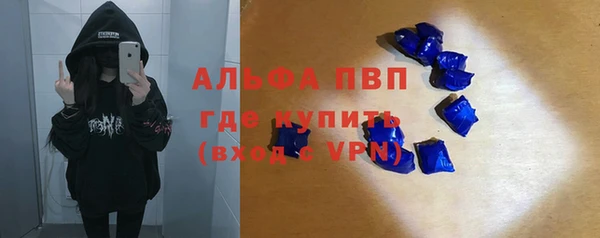 прущие грибы Аркадак