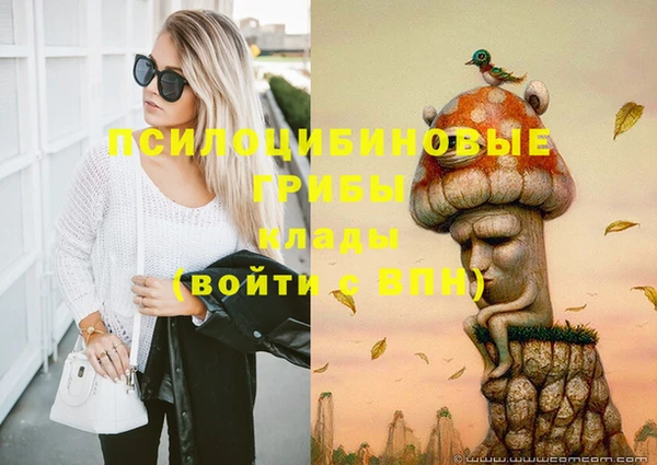 spice Балахна