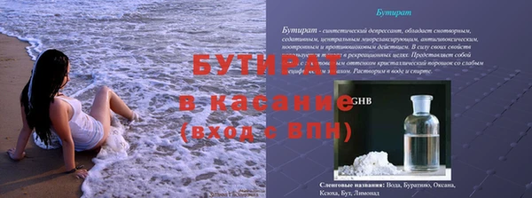прущие грибы Аркадак