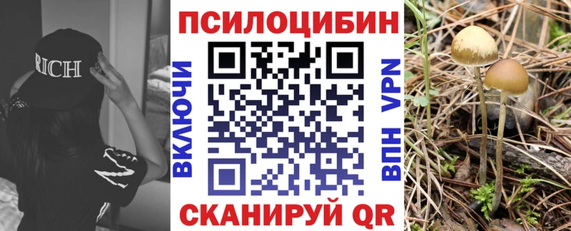 Псилоцибиновые грибы MAGIC MUSHROOMS  цена   Новый Уренгой 